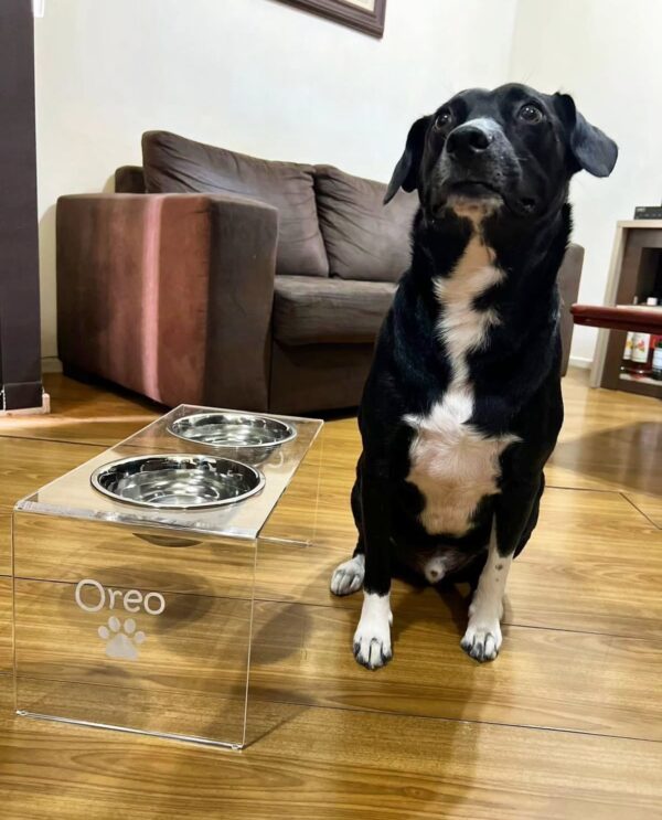 Comedouro e Bebedouro para PET